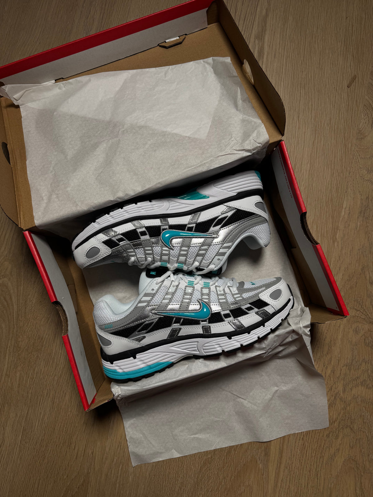 NIKE P-6000 DUSTY CATCUS